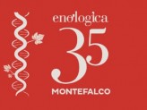 ENOLOGICA35. STORIES OF LIFE: THE DISCOVERY OF Montefalco Sagrantino DOCG
