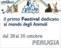 From A to Zampa Animal Festival in Perugia